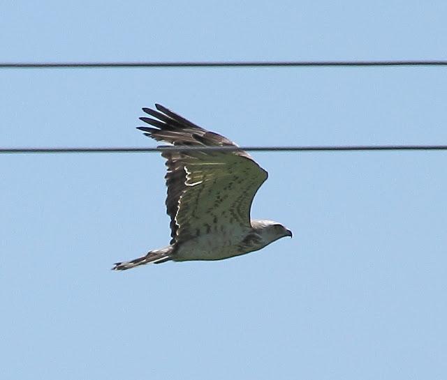 UNAS OBSERVACIONES DEL ULTIMO MES UNAS OBSERVACIONES DEL ULTIMO MES