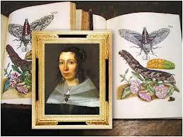 LA MUJER QUE ESTUDIABA LOS INSECTOS LA MUJER QUE ESTUDIABA LOS INSECTOS