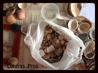 … de hacer un marco con conchas Conchas
