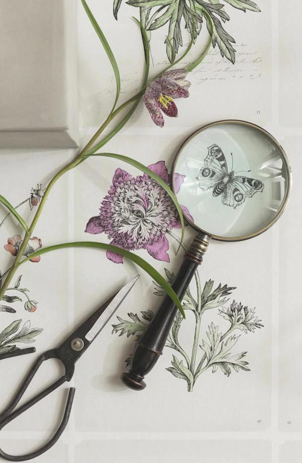 PAPEL PINTADO CON FLORES DE BOTANICA PAPEL PINTADO CON FLORES DE BOTANICA