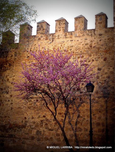 Paisaje de ayer Paisaje de ayer