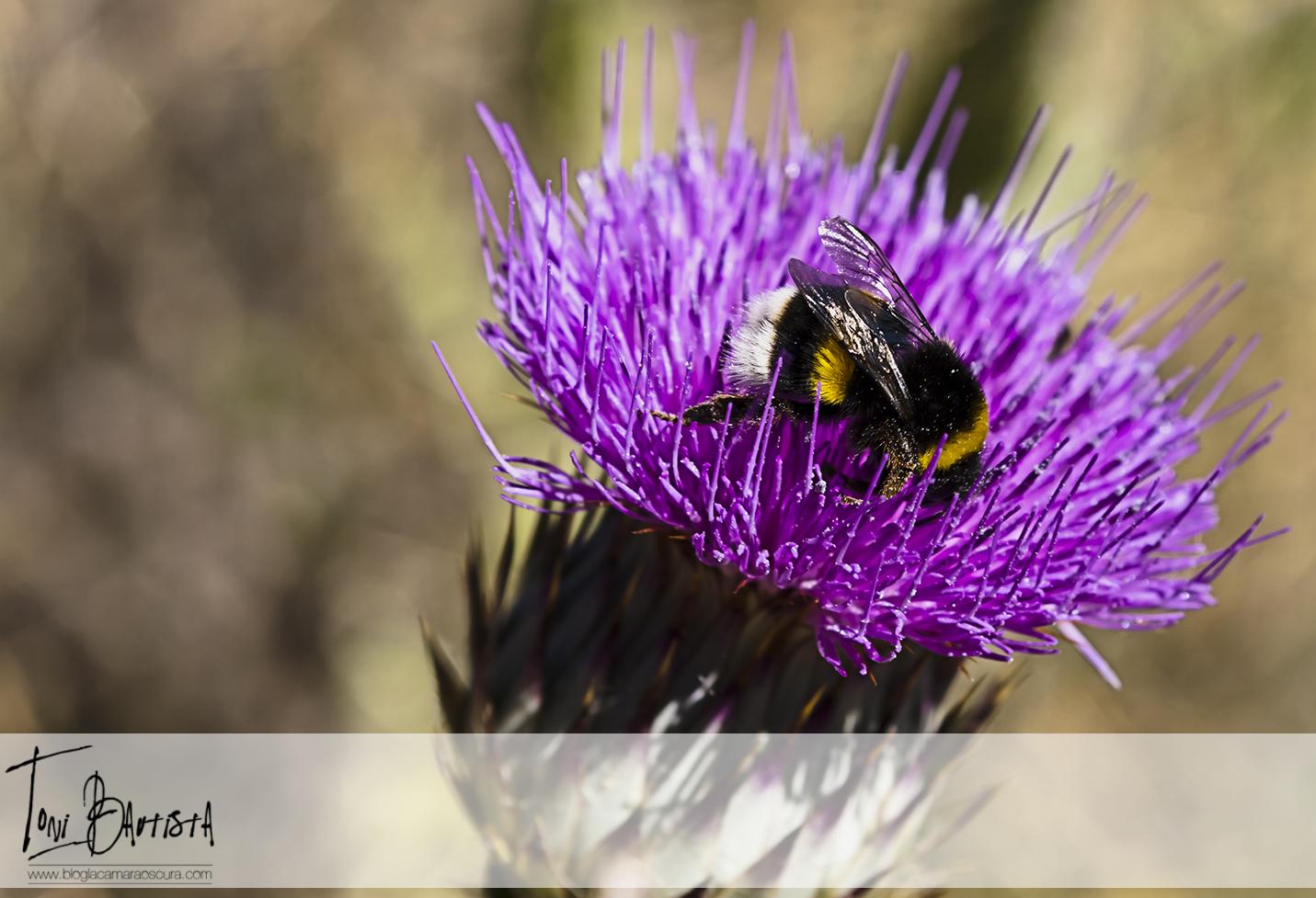 Capítulo 3 - Conceptos básicos - Parte 5 Capítulo 3 - Conceptos básicos - Parte 5