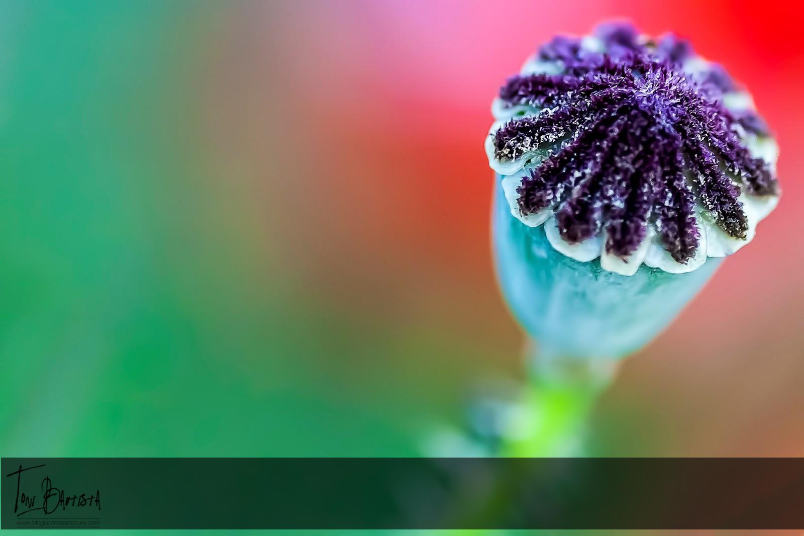 Capítulo 3 - Conceptos básicos - Parte 5 Capítulo 3 - Conceptos básicos - Parte 5