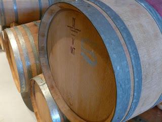 Visita a las viñas de la Bodega Bernabeleva de San Martín de Valdeiglesias