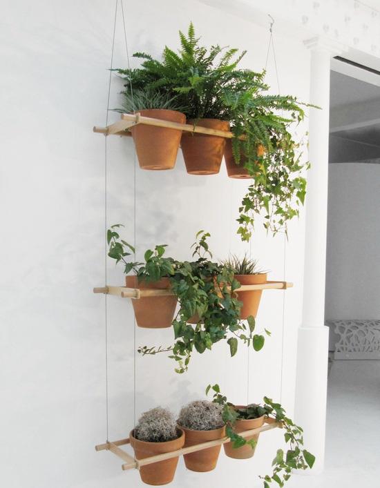 Plantas en la decoración de tu hogar plantas-en-casa-14