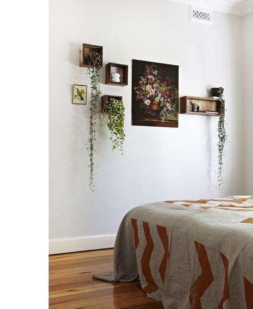 Plantas en la decoración de tu hogar plantas-en-casa-17