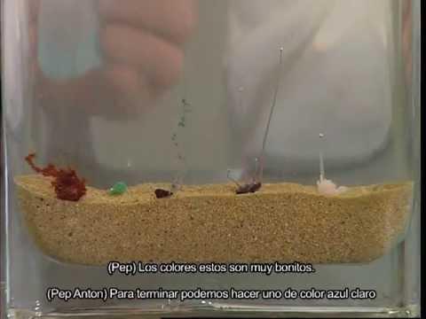 Química experimental en la web Imagen de previsualización de YouTube