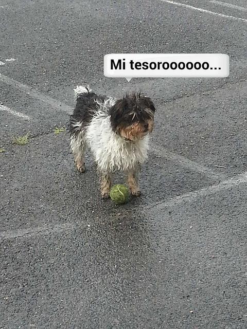 Estamos tan Agustito VI. Mi Tesorooo... estamos tan agustito