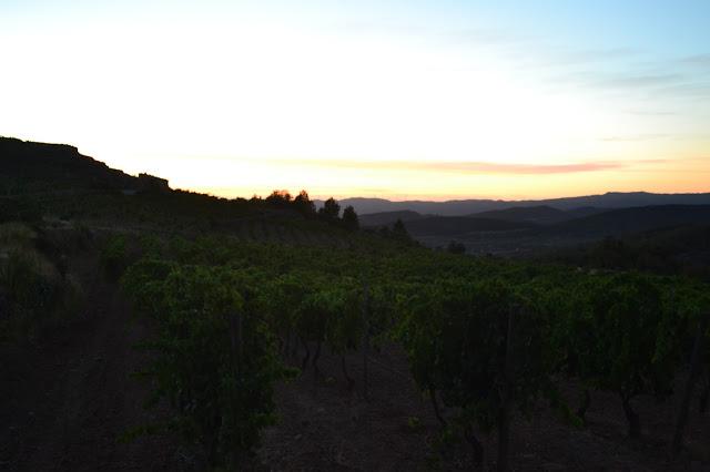 VINYES DOMÉNECH (DO. Montsant) VINYES DOMÉNECH (DO. Montsant)