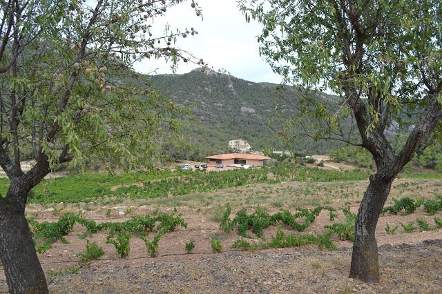 VINYES DOMÉNECH (DO. Montsant) VINYES DOMÉNECH (DO. Montsant)