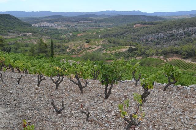 VINYES DOMÉNECH (DO. Montsant) VINYES DOMÉNECH (DO. Montsant)