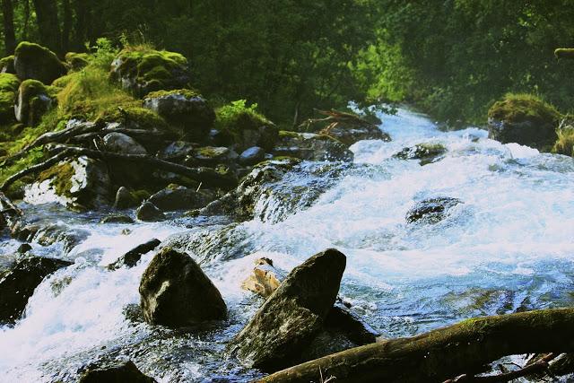 LONG WAY UP. LA RUTA VIKINGA 2011