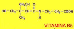VITAMINA