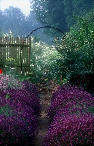 Jardines en Flor. Jardines Ingleses. Jardines en Flor. Jardines Ingleses.