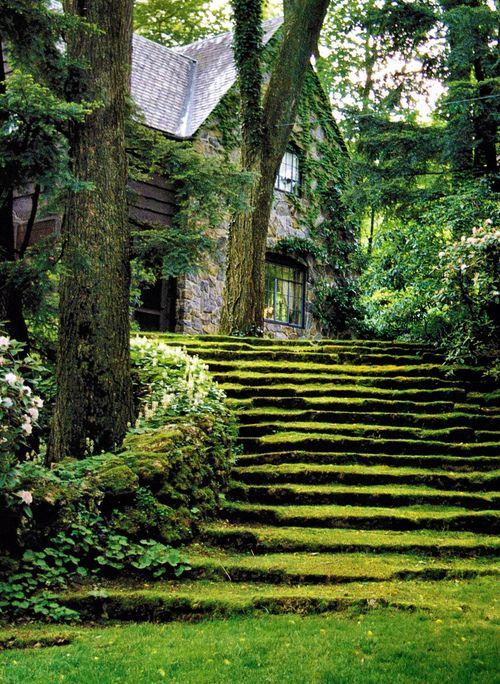 Jardines en Flor. Jardines Ingleses. Jardines en Flor. Jardines Ingleses.