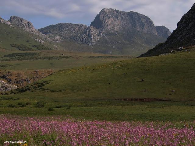 el cirbanal y la silla el cirbanal y la silla