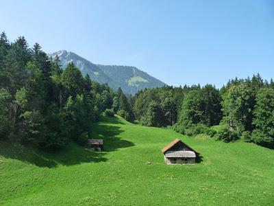 Día 2. Experiencia inolvidable en Suiza!