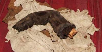 UN DEDO GIGANTE DESCUBIERTO EN EGIPTO UN DEDO GIGANTE DESCUBIERTO EN EGIPTO