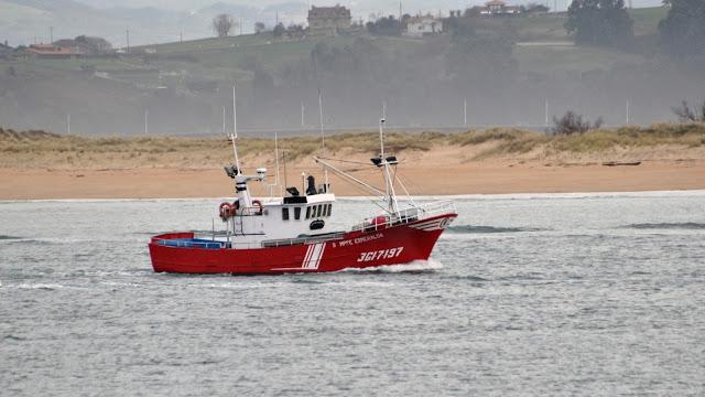 Vela y barcos