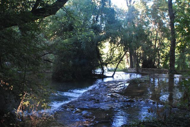 Fotos del Monasterio de Piedra (Nuévalos)