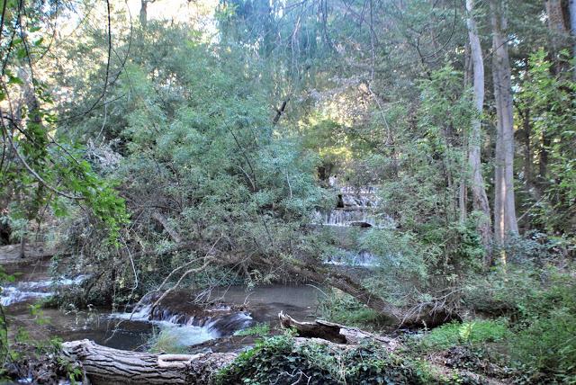 Fotos del Monasterio de Piedra (Nuévalos)