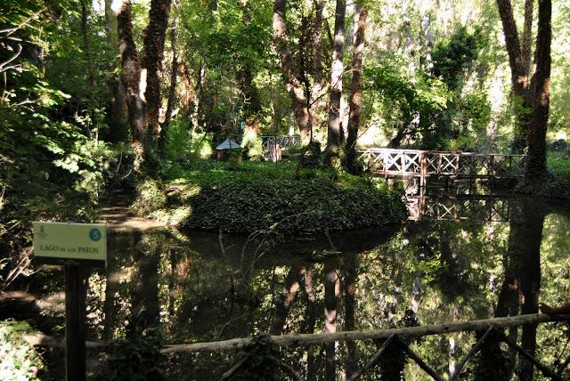 Fotos del Monasterio de Piedra (Nuévalos)