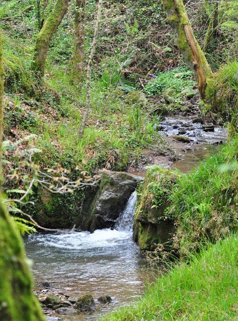 Fotos de Cantabria