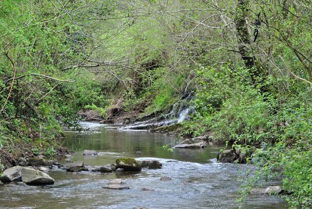 Fotos de Cantabria