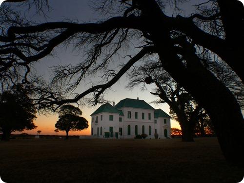 sequia en parque luro13 sequia en parque luro13