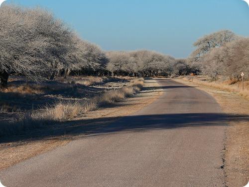 sequia en parque luro8 sequia en parque luro8