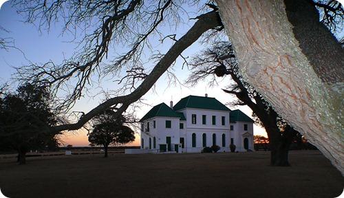 sequia en parque luro12 sequia en parque luro12