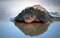 Los 10 artículos más leídos en el mes de Abril 2013. Los 10 artículos más leídos en el mes de Abril 2013.