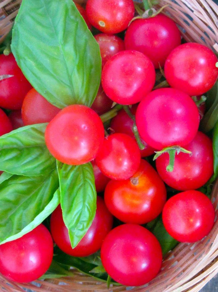 Mis tomates valen un potosí (*) tomaates2