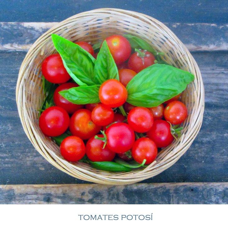 Mis tomates valen un potosí (*) potosí1
