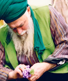 Mevlana Sheikh Nazim, maestro de nuestros tiempos el maestro y las flores
