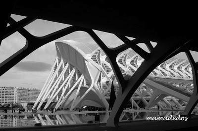 Mi primer Miércoles de Sensaciones Mi primer Miércoles de Sensaciones