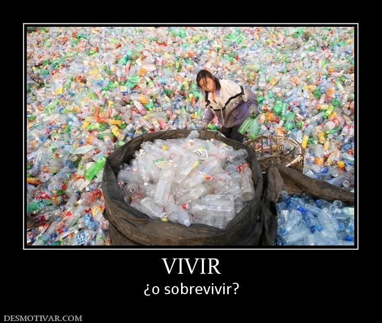 Lecciones que nos da la Vida: ¿Vives o Sobrevives? Lecciones que nos da la Vida: ¿Vives o Sobrevives?