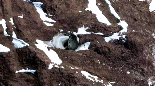 GOOGLE EARTH REVELA DOS EXTRAÑAS ENTRADAS EN LA ANTARTIDA, ¿SON DOS BASES EXTRATERRESTRES? GOOGLE EARTH REVELA DOS EXTRAÑAS ENTRADAS EN LA ANTARTIDA, ¿SON DOS BASES EXTRATERRESTRES?