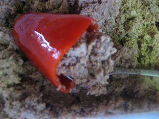 PIMIENTOS DEL PIQUILLO RELLENOS PIMIENTOS DEL PIQUILLO RELLENOS