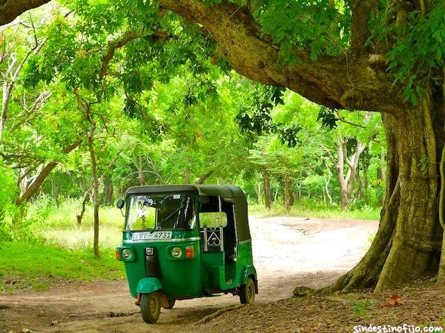 Anuradhapura, sobre ruinas en Tuktuk Tukito esperando paciente