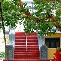 Monje que lee Anuradhapura, sobre ruinas en Tuktuk