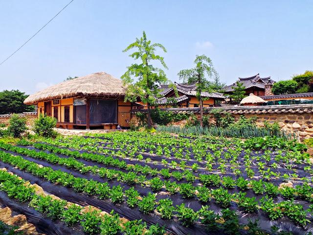 Aldea tradicional Hahoe y Andong Aldea tradicional Hahoe y Andong