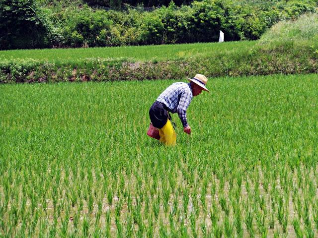 Aldea tradicional Hahoe y Andong Aldea tradicional Hahoe y Andong