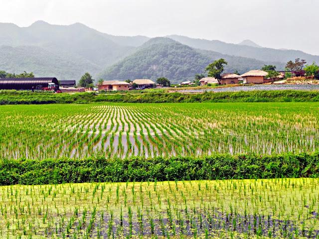 Aldea tradicional Hahoe y Andong Aldea tradicional Hahoe y Andong