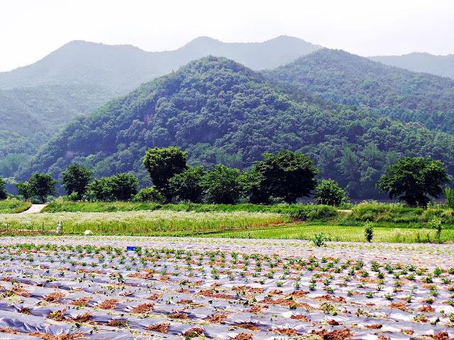 Aldea tradicional Hahoe y Andong Aldea tradicional Hahoe y Andong