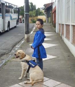 A la policía local de Gandía (Valencia) no le gustan los perros de asistencia en la especialidad de Autismo A la policía local de Gandía (Valencia) no le gustan los perros de asistencia en la especialidad de Autismo