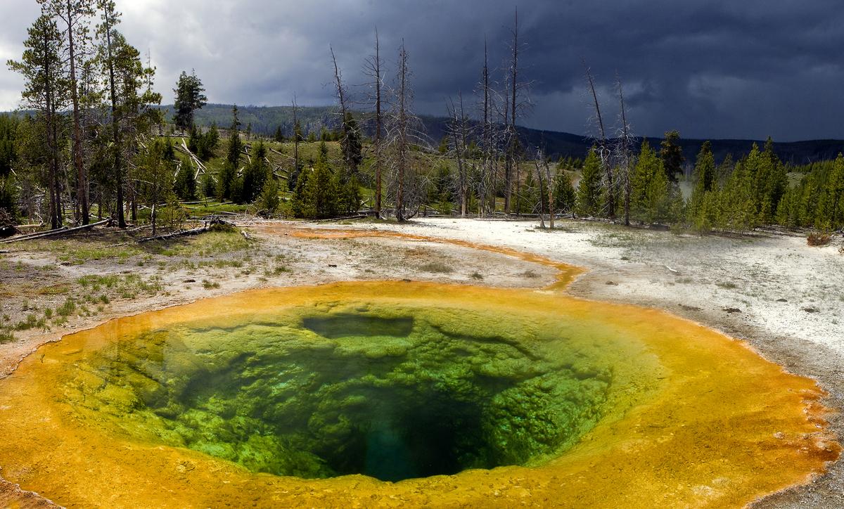 Los parques más bonitos Los parques más bonitos