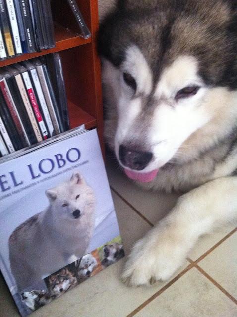 ARESANIAS y dos recomendaciones ARESANIAS y dos recomendaciones