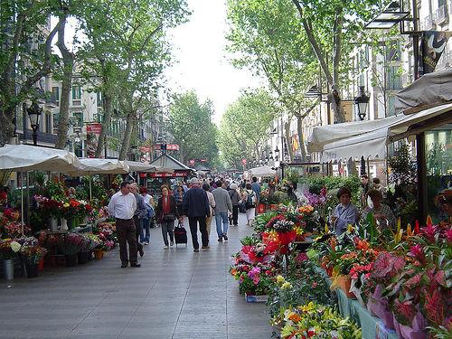 Lecciones que nos da la Vida: Nadie conoce mejor el huerto que quien lo cultiva