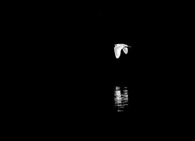 Macabra y sin velo... Macabra y sin velo...